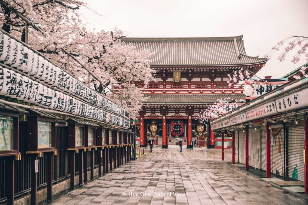 An Efficient 2 Week Japan Itinerary for First Time Travelers