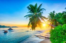 Coastal & Beach Destinations: Your Ultimate Guide to Sun, Sand, and Sea