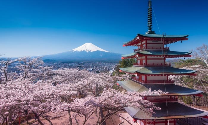 How to Plan a Day Trip to Mount Fuji from Tokyo